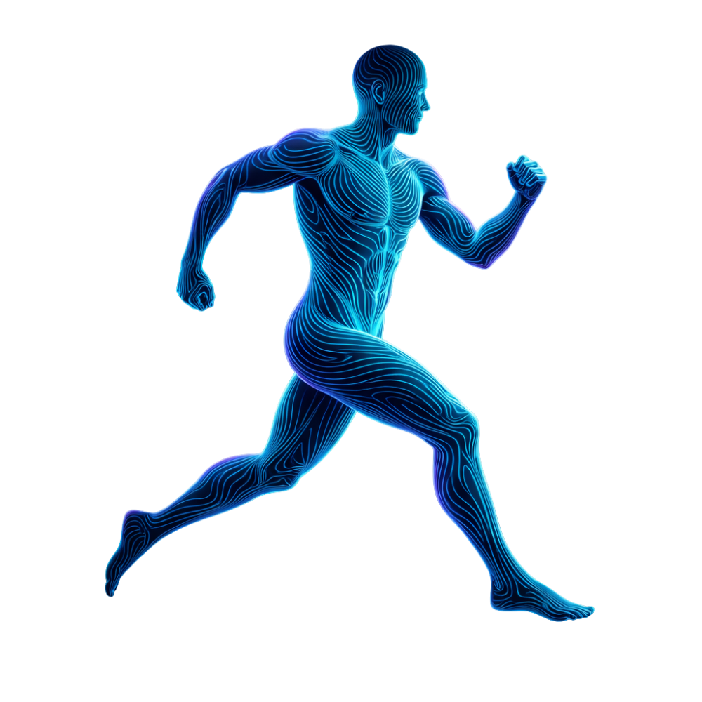 Movement coaching - topographic contour illustration of human figure in motion