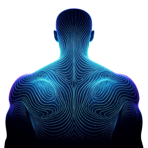 Sports massage therapy - topographic contour illustration of upper back and shoulders